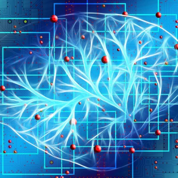 Scientists have figured out how the brain decides it can control a situation
